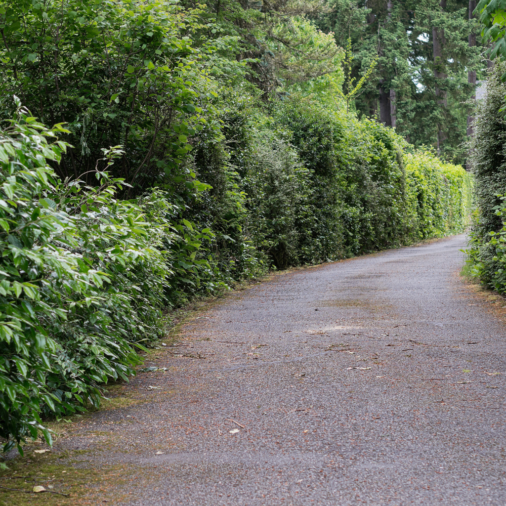 Quality Tarmaced Driveway by WCD Neston driveway company